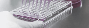 Scientist analyzing digital PCR results for replication competent lentivirus detection in a high-throughput lab environment